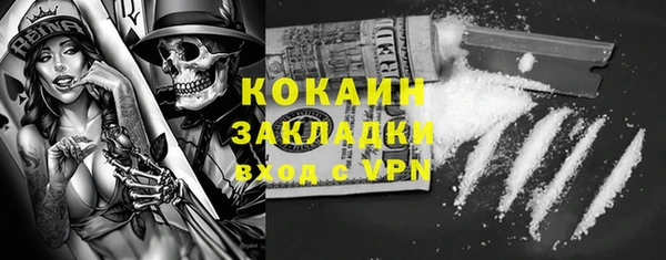 mdpv Краснослободск