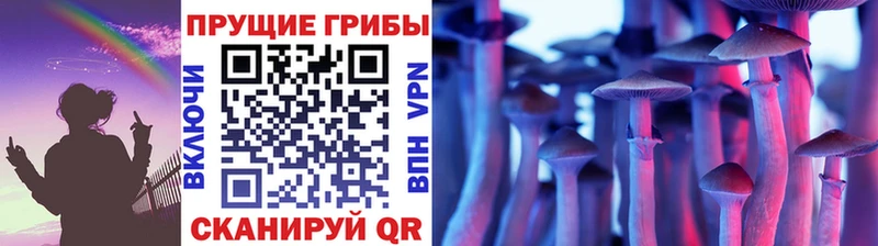 Купить  Старая Русса  Галлюциногенные грибы Cubensis 